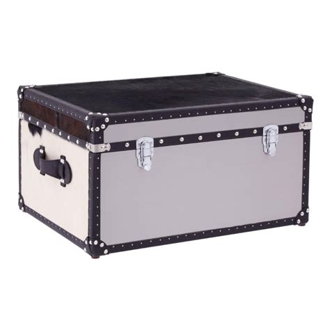 metal trunk box for attic